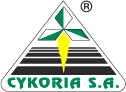 Cykoria